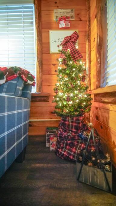 Charming Lakeview Cabin Near Geneva-On-The-Lake! Ashtabula Eksteriør billede